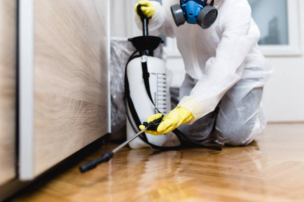 Best Exterminator Services  in Troy, MO