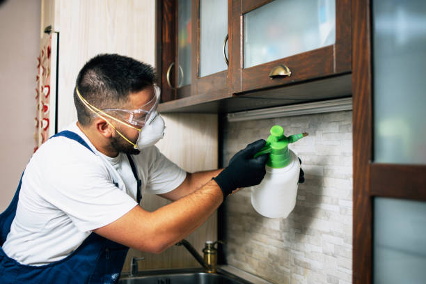 Pest Control for Restaurants in Troy, MO