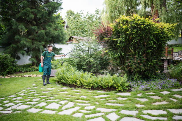 Best Pest Inspection Near Me  in Troy, MO