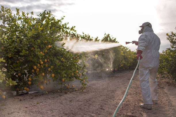 Best Pest Control for Restaurants  in Troy, MO