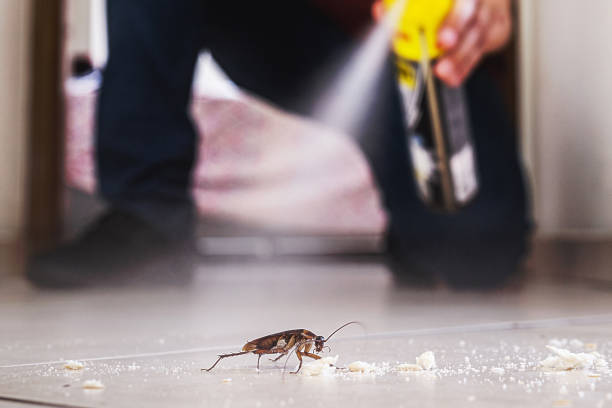 Best Affordable Pest Control Services  in Troy, MO