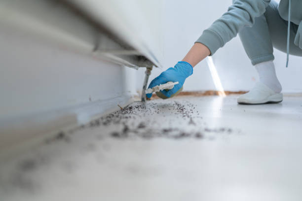 Best Affordable Pest Control Services  in Troy, MO